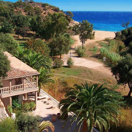 Le Clos Des Sept Palmiers Cavalaire-sur-Mer Eksteriør billede