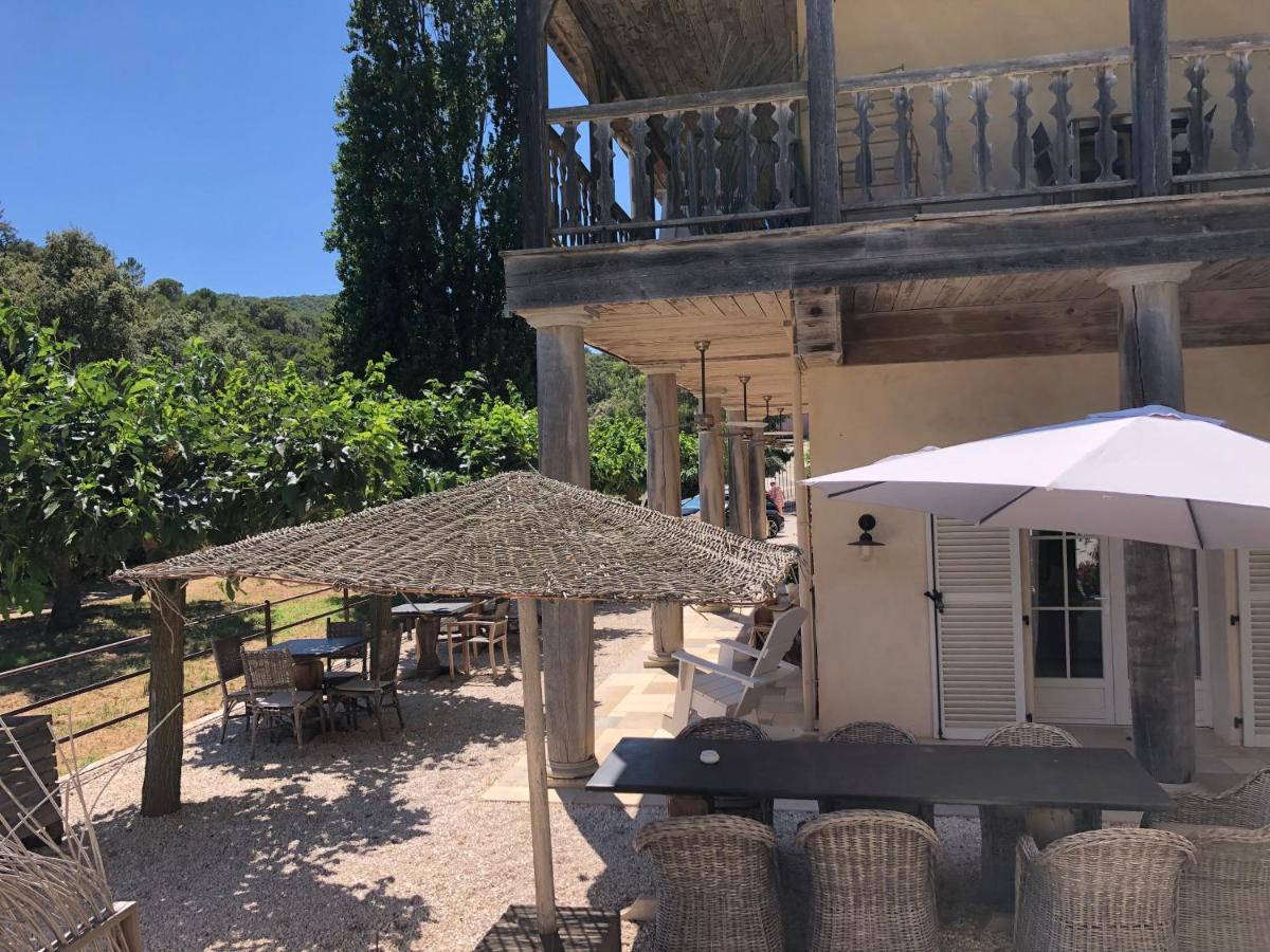 Le Clos Des Sept Palmiers Cavalaire-sur-Mer Eksteriør billede