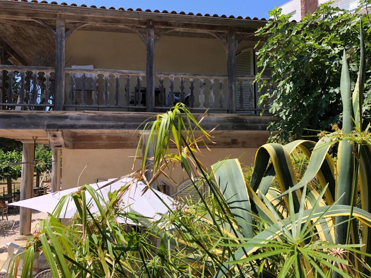 Le Clos Des Sept Palmiers Cavalaire-sur-Mer Eksteriør billede