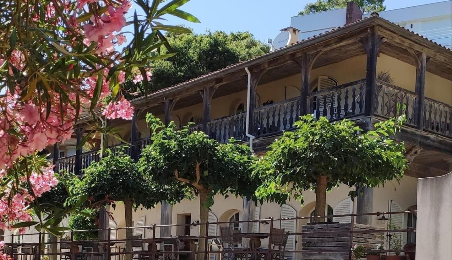 Le Clos Des Sept Palmiers Cavalaire-sur-Mer Eksteriør billede