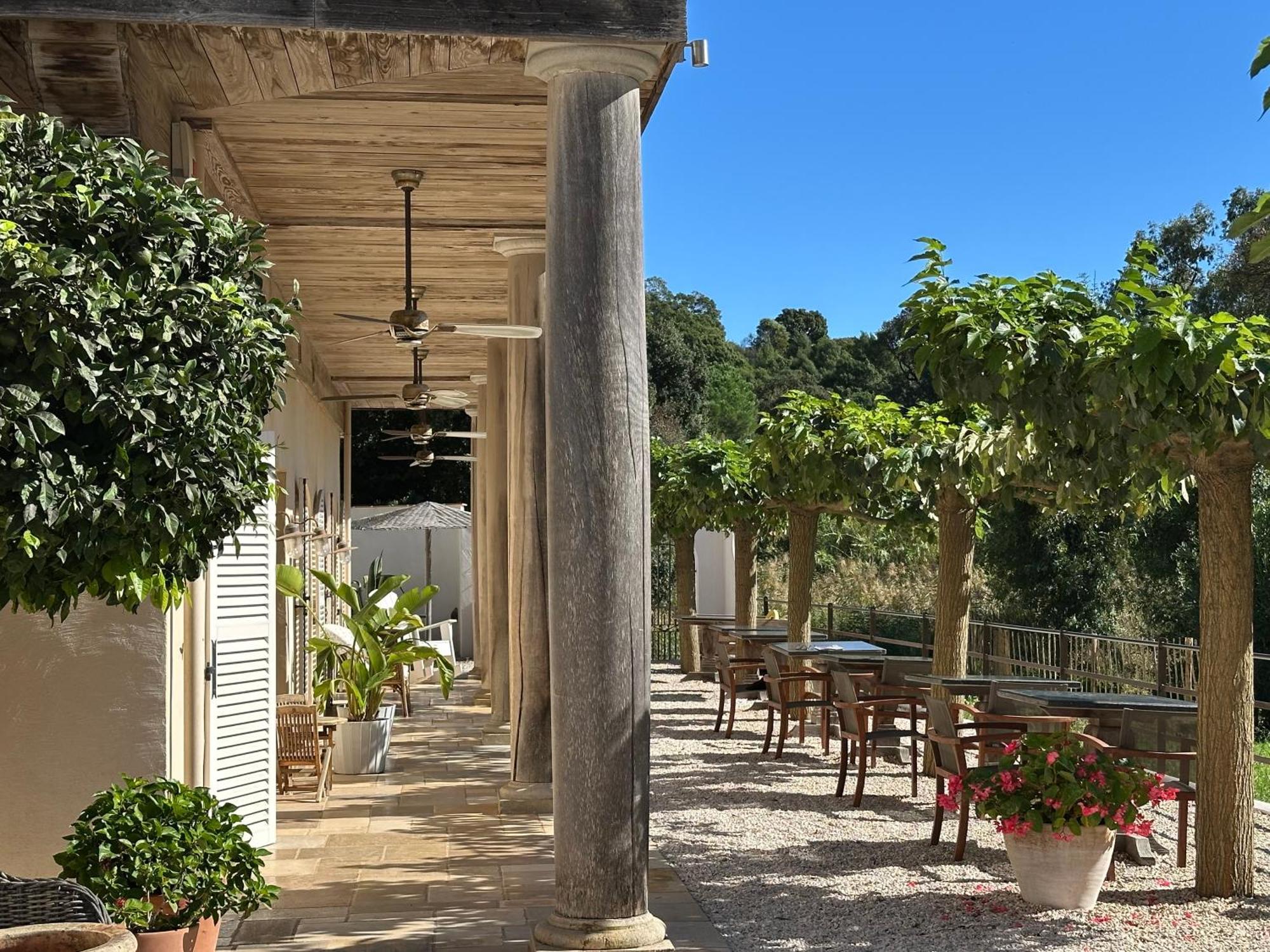 Le Clos Des Sept Palmiers Cavalaire-sur-Mer Eksteriør billede