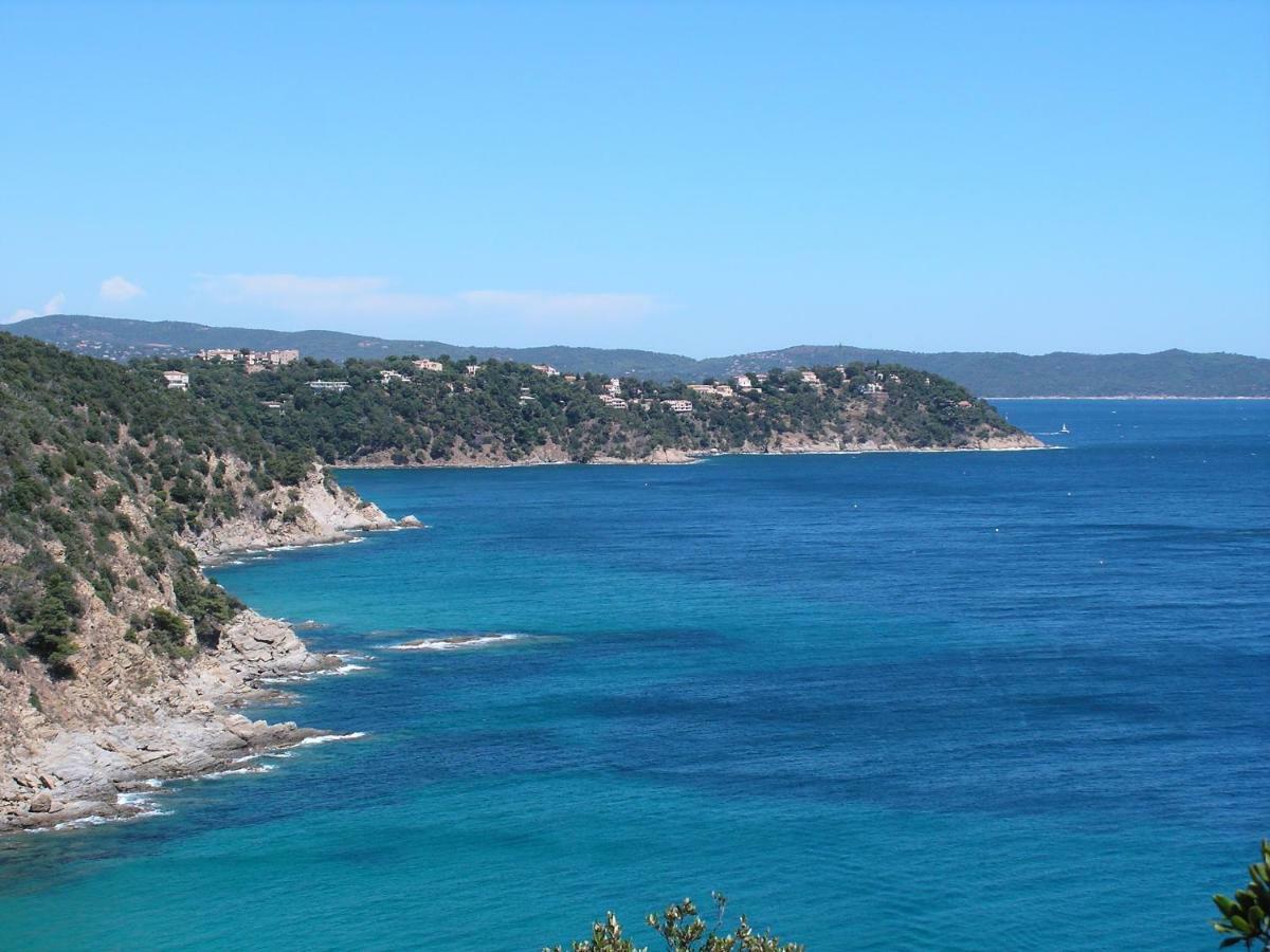 Le Clos Des Sept Palmiers Cavalaire-sur-Mer Eksteriør billede