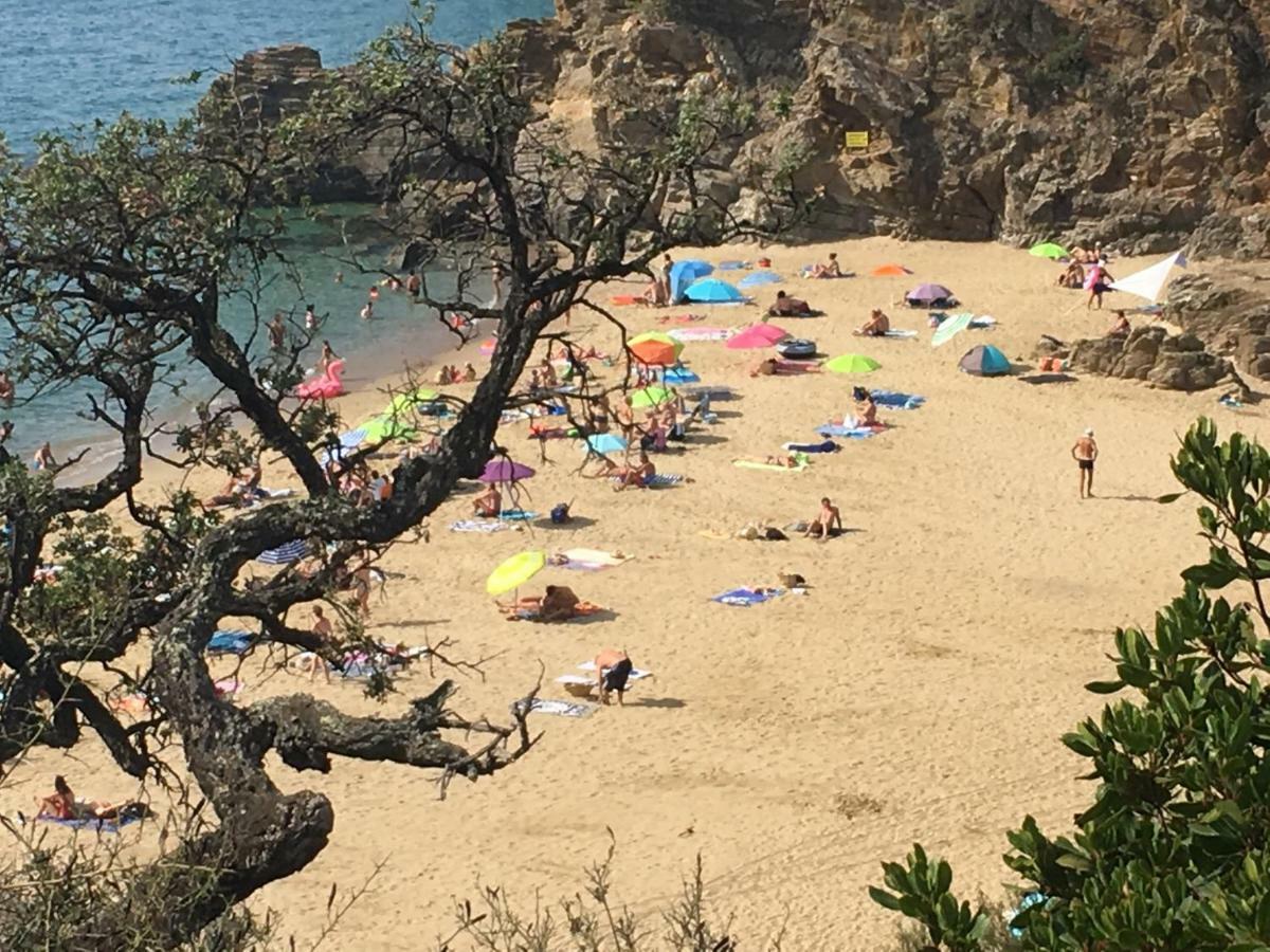 Le Clos Des Sept Palmiers Cavalaire-sur-Mer Eksteriør billede