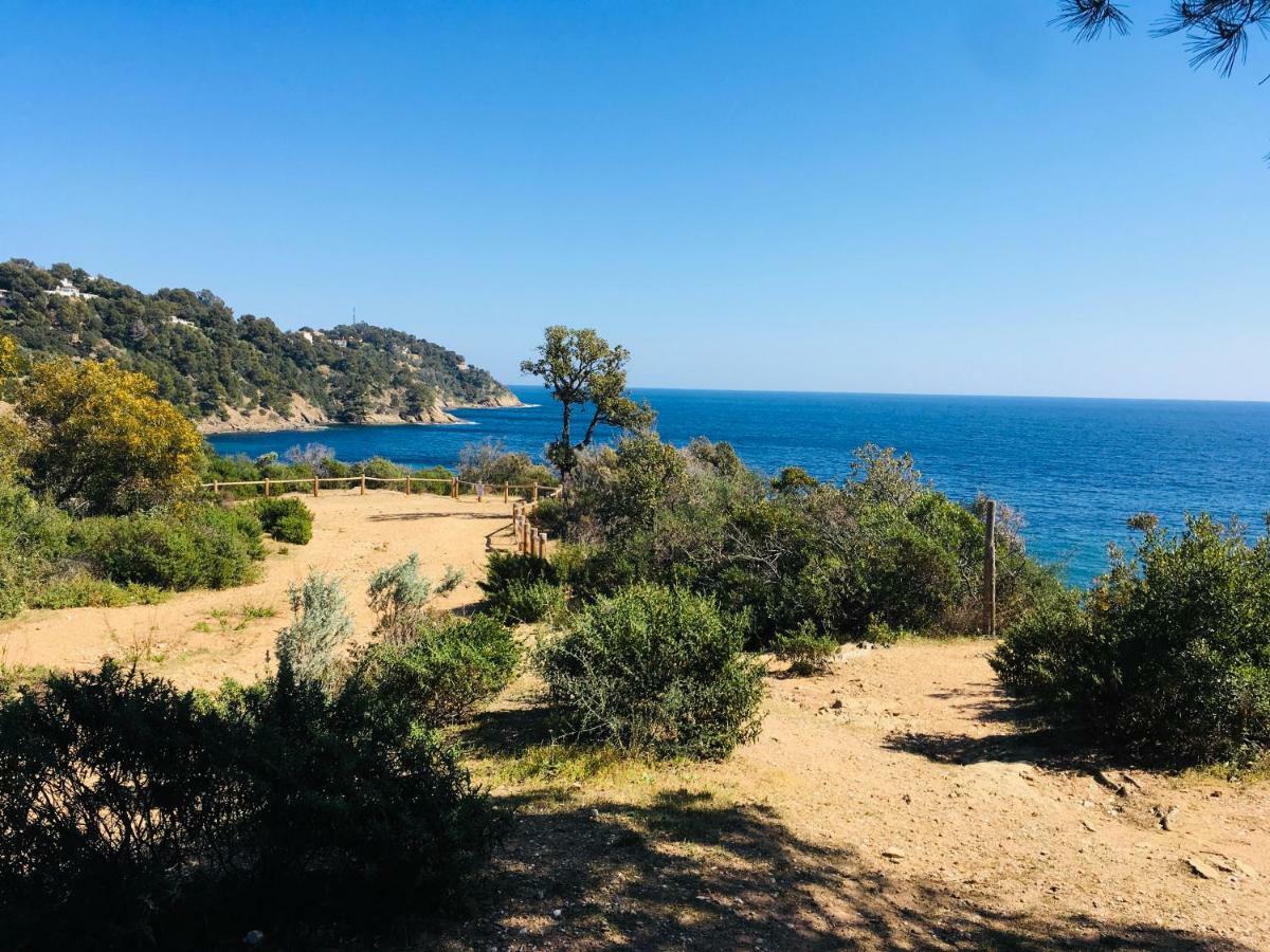 Le Clos Des Sept Palmiers Cavalaire-sur-Mer Eksteriør billede