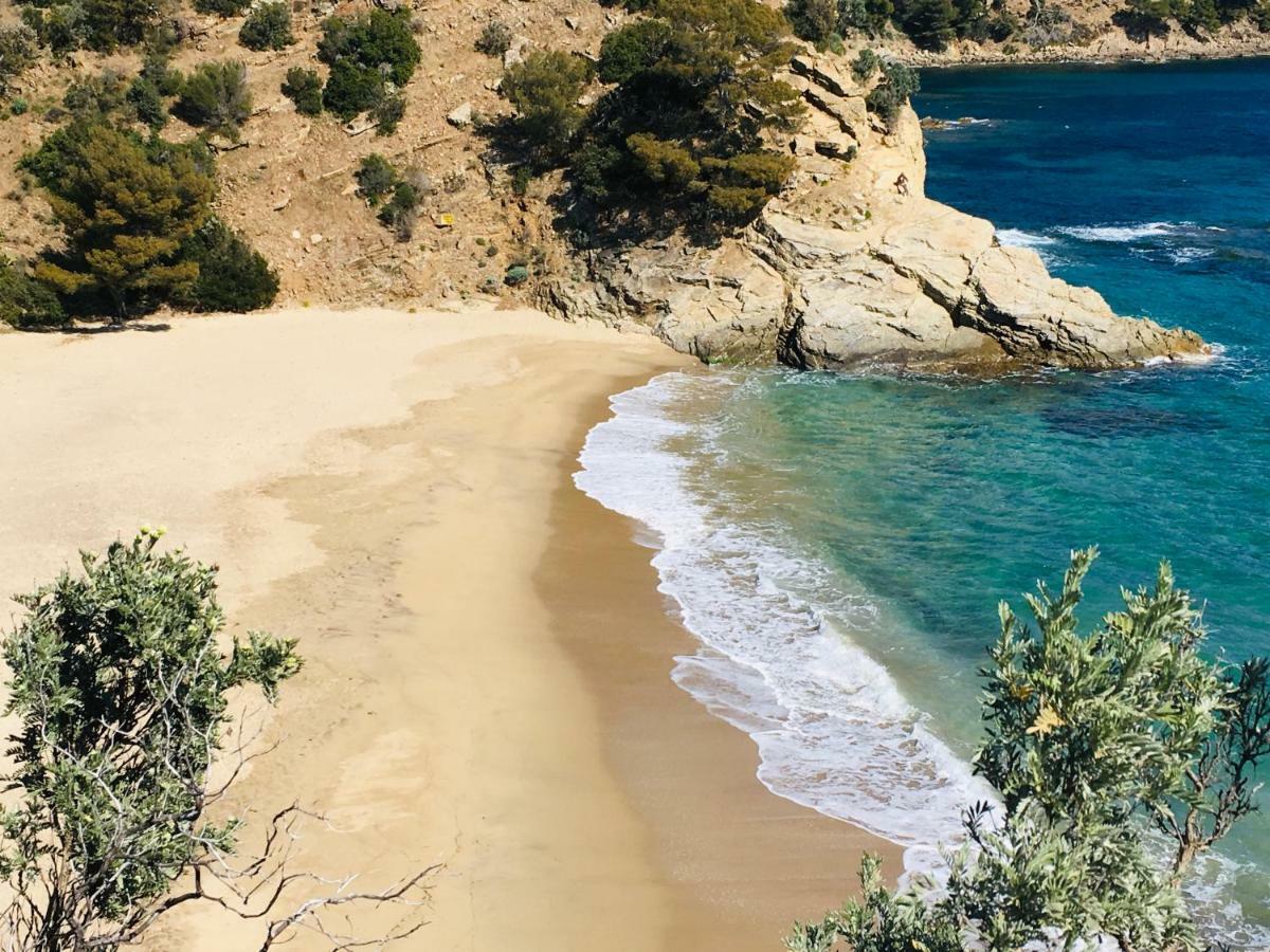 Le Clos Des Sept Palmiers Cavalaire-sur-Mer Eksteriør billede