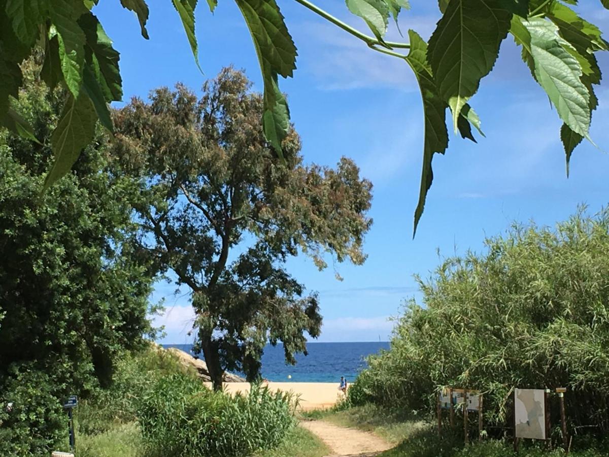 Le Clos Des Sept Palmiers Cavalaire-sur-Mer Eksteriør billede